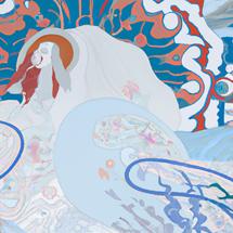 Irregular sleep linked to gut bacteria